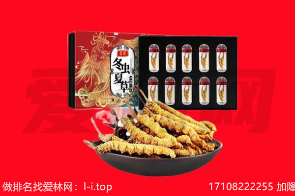 抚顺市新宾回收虫草.jpg